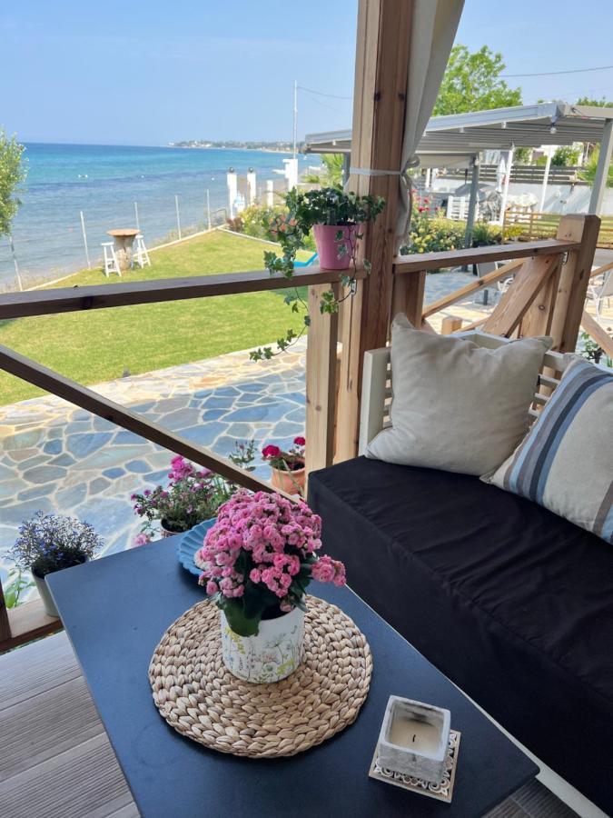 Beachfront Villa Athina Vergia Экстерьер фото
